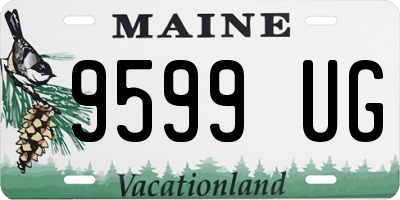 ME license plate 9599UG