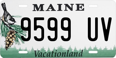 ME license plate 9599UV