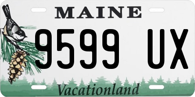 ME license plate 9599UX