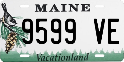 ME license plate 9599VE