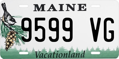 ME license plate 9599VG