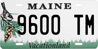 ME license plate 9600TM