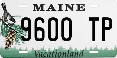 ME license plate 9600TP