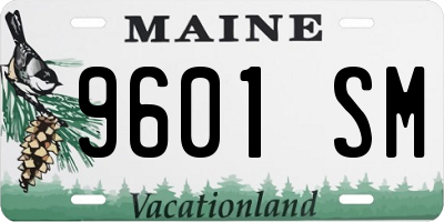 ME license plate 9601SM