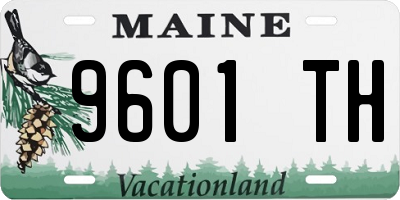 ME license plate 9601TH