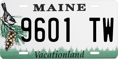 ME license plate 9601TW