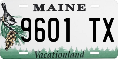 ME license plate 9601TX