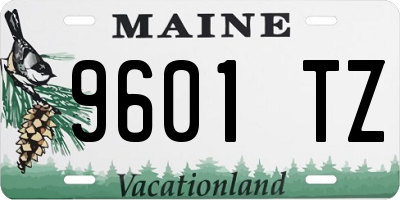 ME license plate 9601TZ