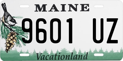ME license plate 9601UZ