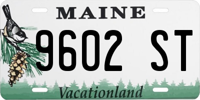 ME license plate 9602ST
