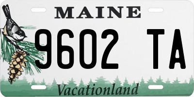 ME license plate 9602TA