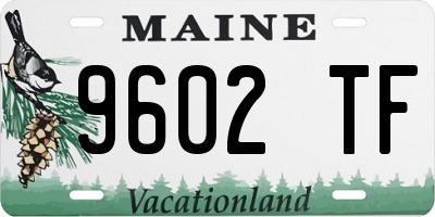 ME license plate 9602TF