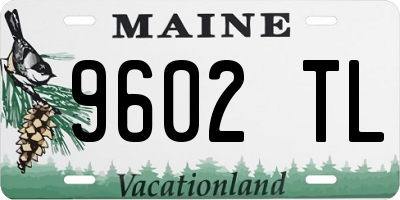 ME license plate 9602TL