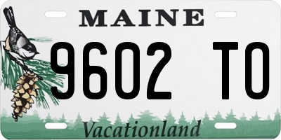 ME license plate 9602TO