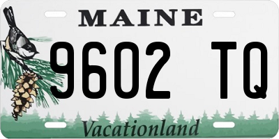 ME license plate 9602TQ