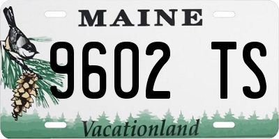 ME license plate 9602TS