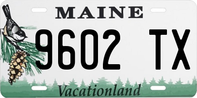 ME license plate 9602TX