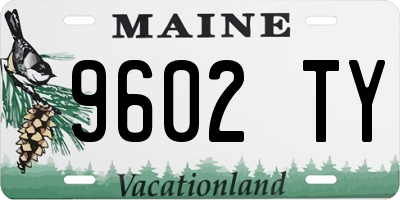 ME license plate 9602TY