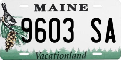 ME license plate 9603SA