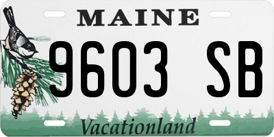 ME license plate 9603SB
