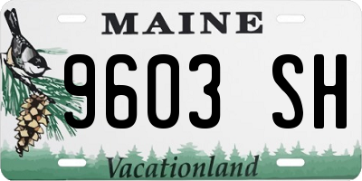 ME license plate 9603SH