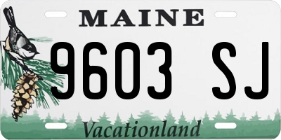 ME license plate 9603SJ