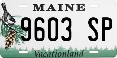 ME license plate 9603SP