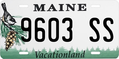 ME license plate 9603SS