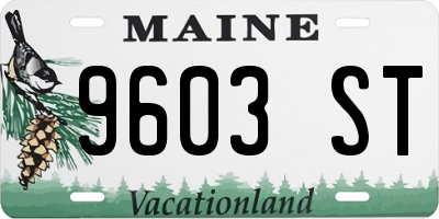 ME license plate 9603ST