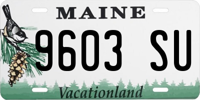ME license plate 9603SU