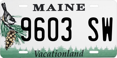 ME license plate 9603SW