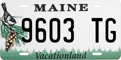 ME license plate 9603TG