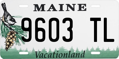 ME license plate 9603TL