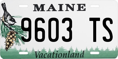 ME license plate 9603TS