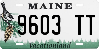 ME license plate 9603TT