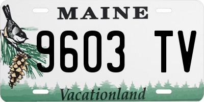ME license plate 9603TV