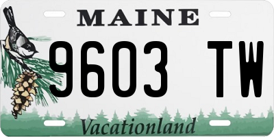 ME license plate 9603TW
