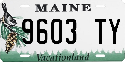 ME license plate 9603TY