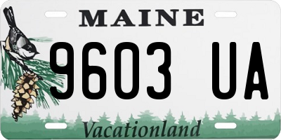 ME license plate 9603UA