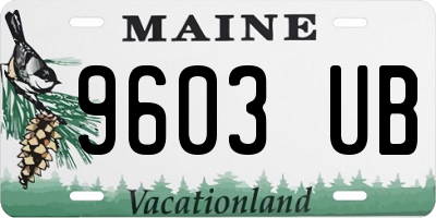 ME license plate 9603UB