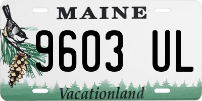 ME license plate 9603UL