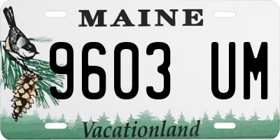 ME license plate 9603UM
