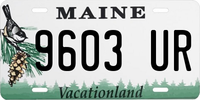 ME license plate 9603UR