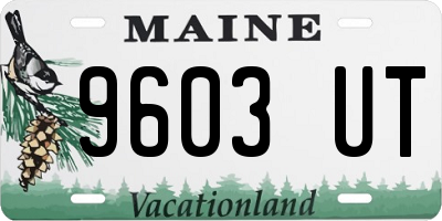 ME license plate 9603UT