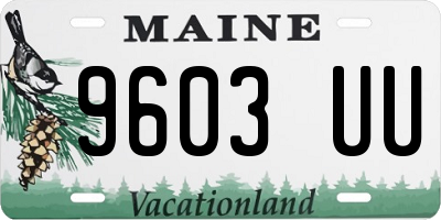 ME license plate 9603UU