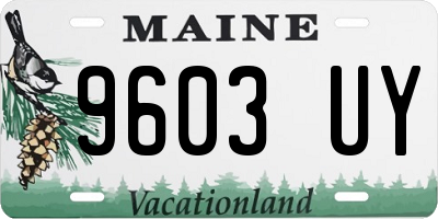 ME license plate 9603UY