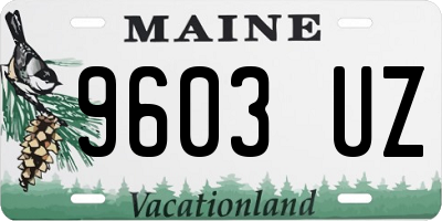 ME license plate 9603UZ