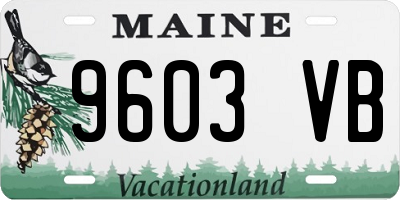 ME license plate 9603VB