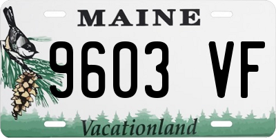 ME license plate 9603VF