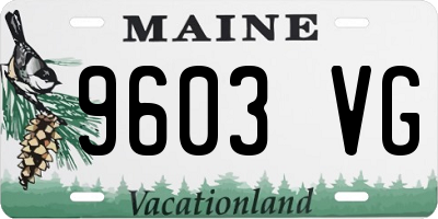 ME license plate 9603VG
